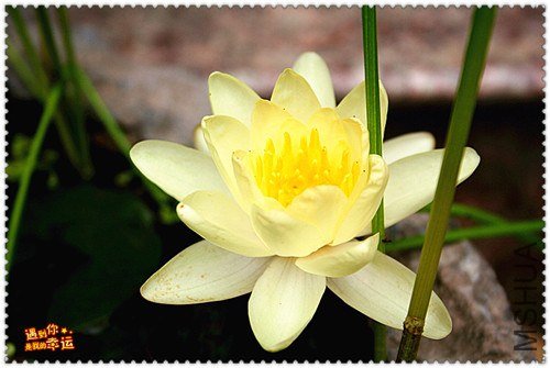 ��Ƭ 054_����.jpg