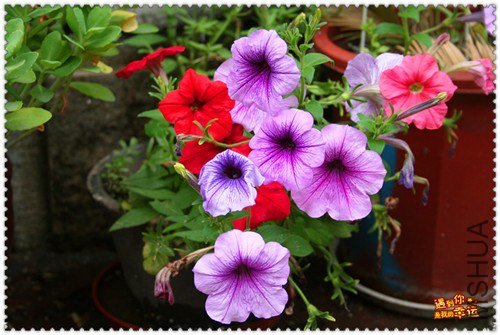 ��Ƭ 064_����.jpg