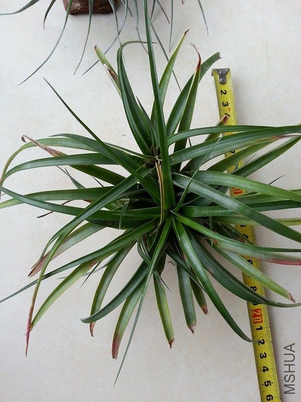 20130615_075236.jpg