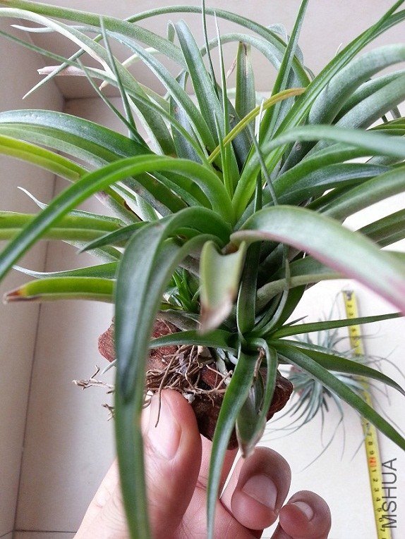 20130615_075314.jpg