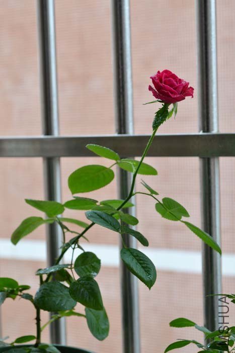 DSC_0569.JPG