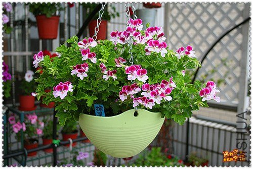 ��Ƭ 073_����.jpg