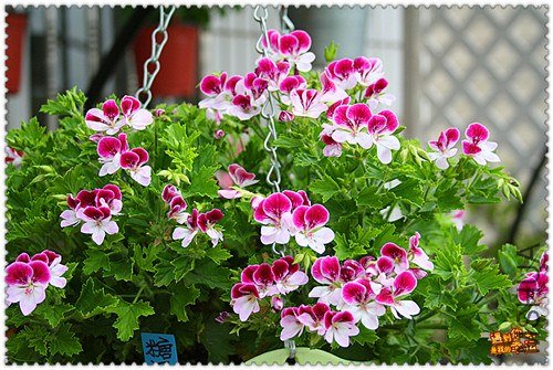 ��Ƭ 075_����.jpg