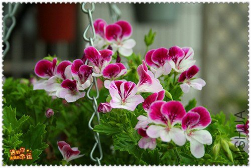 ��Ƭ 079_����.jpg