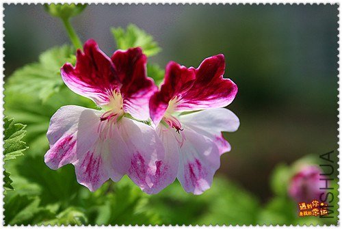 ��Ƭ 045_����.jpg