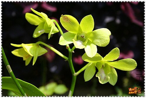 ��Ƭ 035_a����.jpg