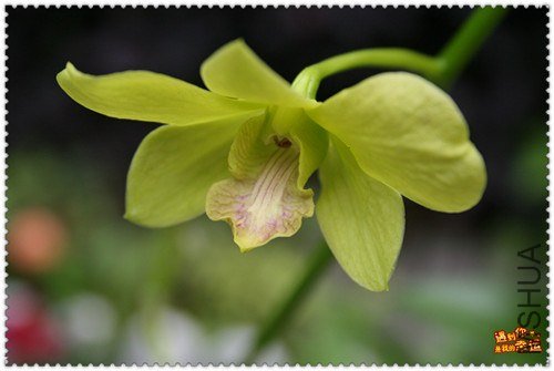 ��Ƭ 035c_����b.jpg