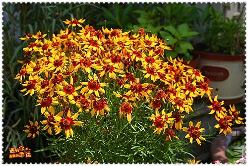 ��Ƭ 002_����.jpg