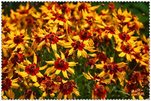 ��Ƭ 003_����.jpg