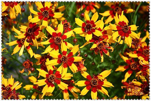 ��Ƭ 005_����.jpg