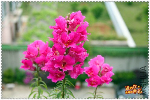 ��Ƭ 240_����.jpg