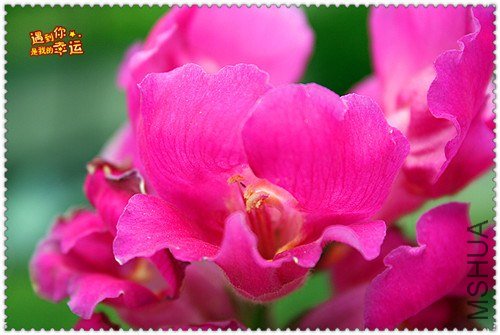 ��Ƭ 243_����.jpg