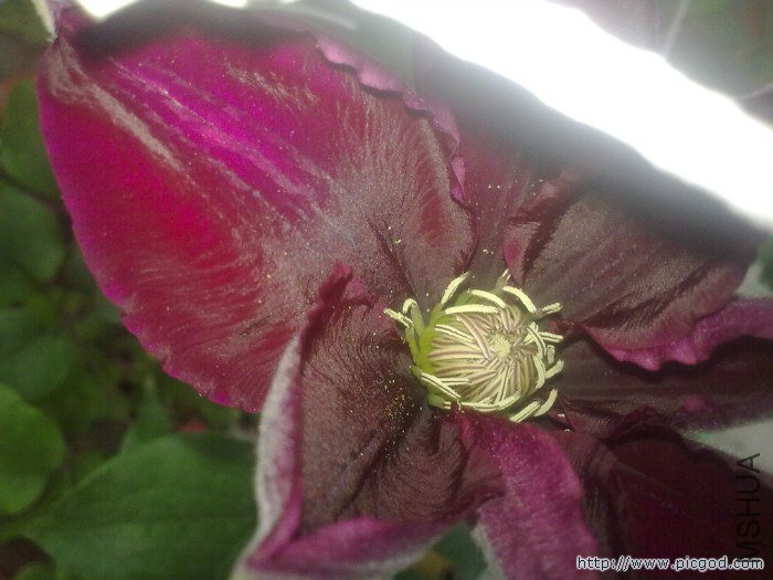 20130412056.jpg