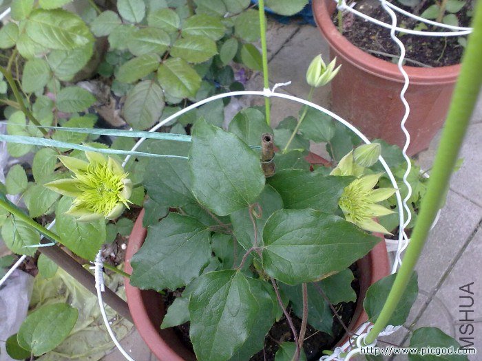 20130413063.jpg