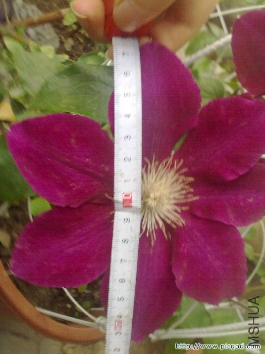 20130416085.jpg