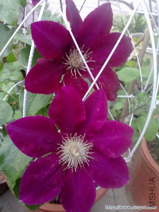 20130416086.jpg