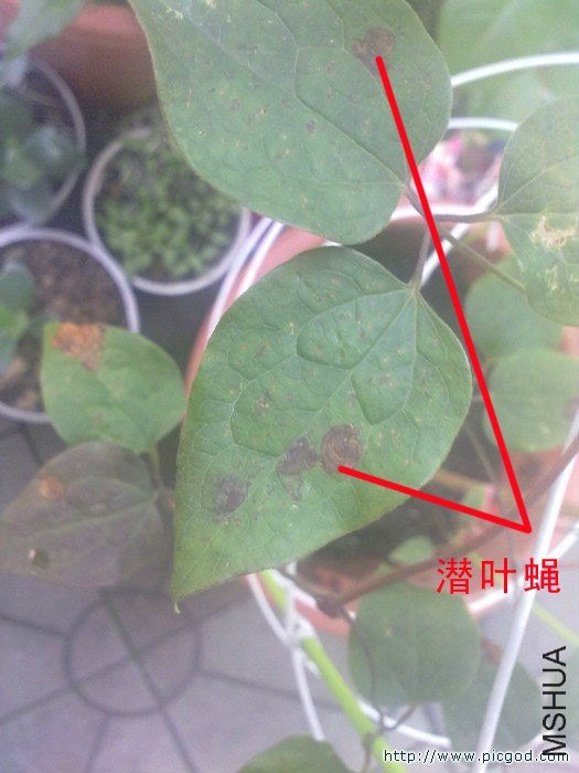 20130510134����.jpg