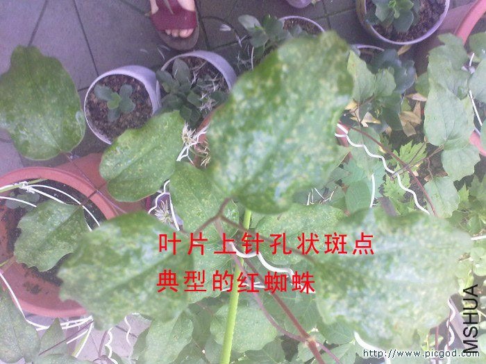 20130510132����.jpg