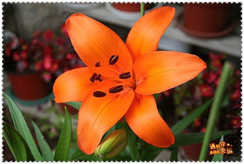 ��Ƭ 031_b����.jpg