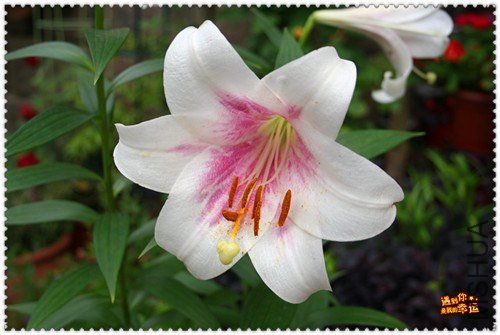 ��Ƭ 006_����.jpg