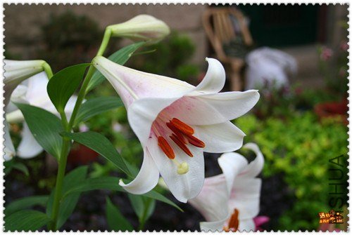 ��Ƭ 007_����.jpg