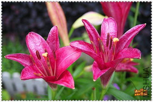 ��Ƭ 013_����.jpg