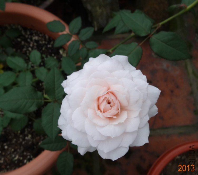 QQ��ͼ20020616155932.jpg