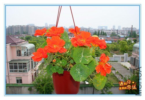 ��Ƭ 223_����.jpg