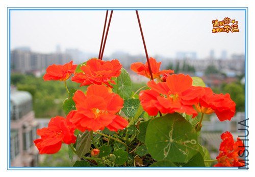 ��Ƭ 225_����.jpg