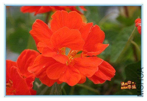 ��Ƭ 226_����.jpg