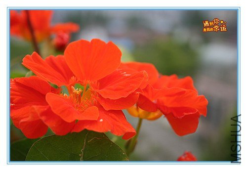 ��Ƭ 227_����.jpg