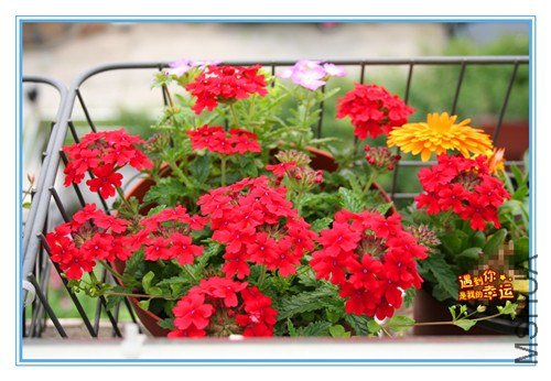 ��Ƭ 254_����.jpg