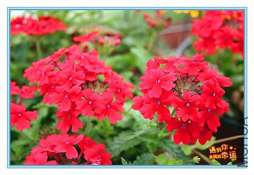 ��Ƭ 256_����.jpg