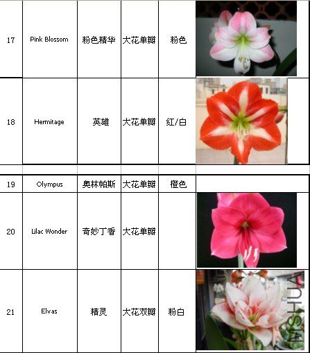 xiaotu.jpg
