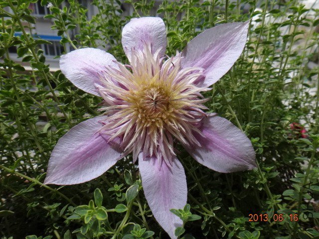 DSC08463.JPG