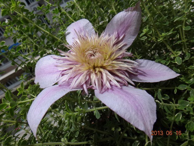 DSC08465.JPG