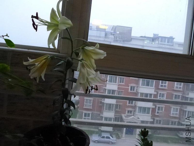 P1020089.JPG