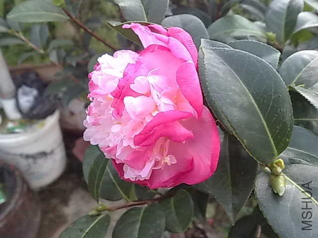 20130616023.jpg