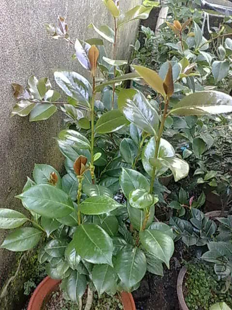 20130616027.jpg