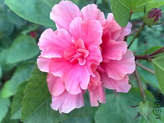 20130616032.jpg