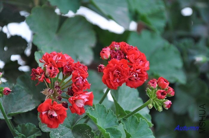 nEO_IMG_DSC_0018 (3).jpg