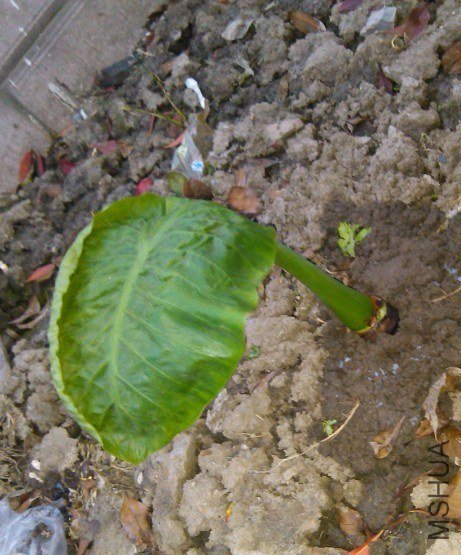 QQͼƬ20130617114646.jpg