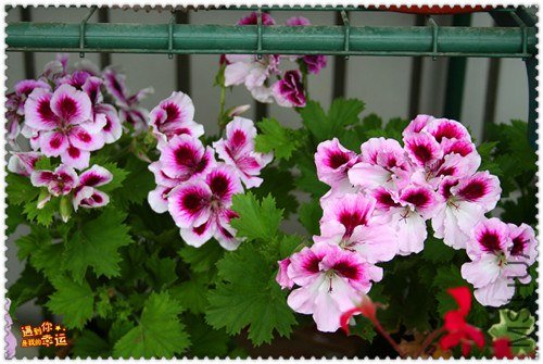 ��Ƭ 010_����.jpg