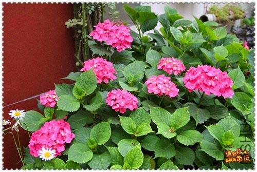 ��Ƭ 035_����.jpg