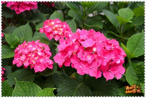 ��Ƭ 037_����.jpg