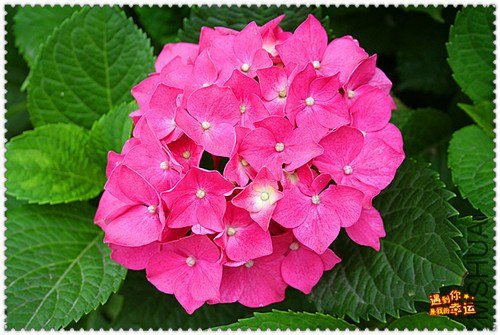 ��Ƭ 038_����.jpg