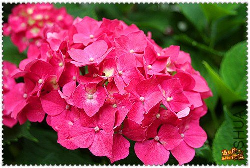 ��Ƭ 040_����.jpg