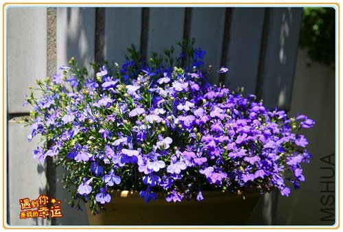 ��Ƭ 186_����.jpg