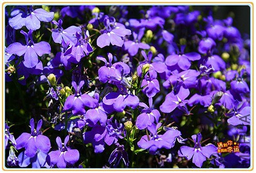 ��Ƭ 188_����.jpg