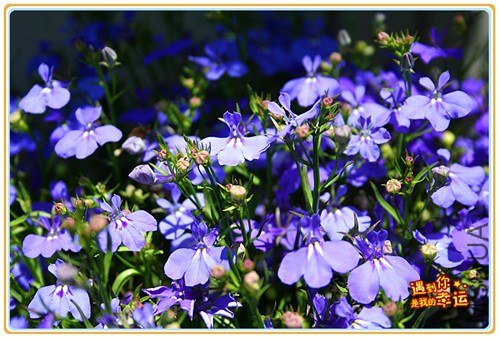 ��Ƭ 189_����.jpg